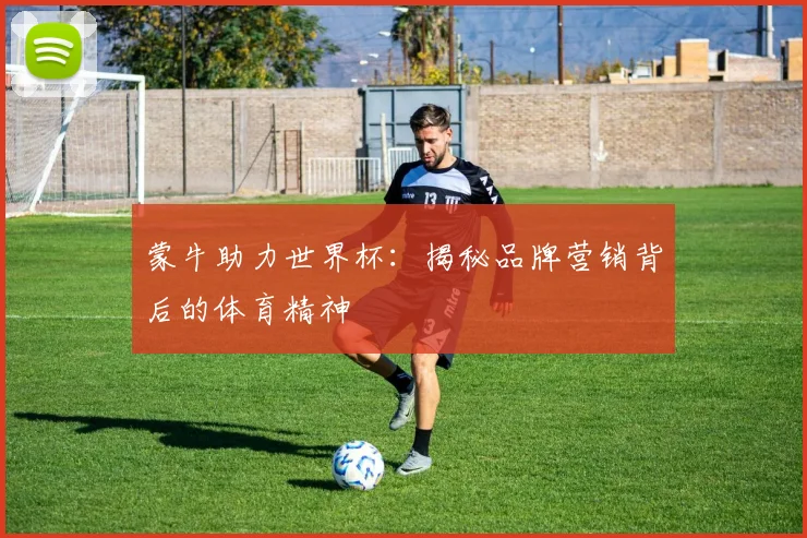 蒙牛助力世界杯:揭秘品牌营销背后的体育精神